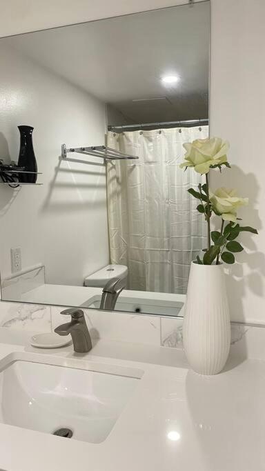 Unit #204 Cozy Mountain View 2Br In Canmore Downtown Экстерьер фото